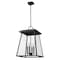 Z-Lite Broughton Outdoor Chain Mount Ceiling Fixture, 4-Light, 15.75In.W x 23.75In.H, Black/Clear Beveled 521CHXL-BK - alternate 5